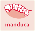 Manduca